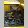arocaan2011c045.jpg