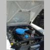 arocaan2011t022.jpg